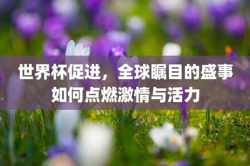 世界杯促进，全球瞩目的盛事如何点燃激情与活力漯河市盈旭机械设备有限公司