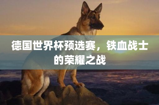 德国世界杯预选赛，铁血战士的荣耀之战