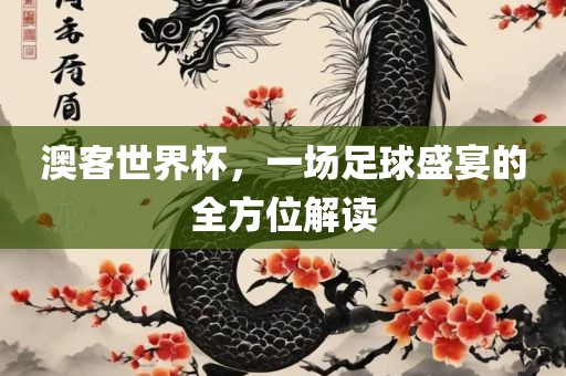 澳客世界杯，一场足球盛宴的全方位解读