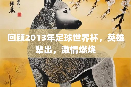 回顾2013年足球世界杯，英雄辈出，激情燃烧