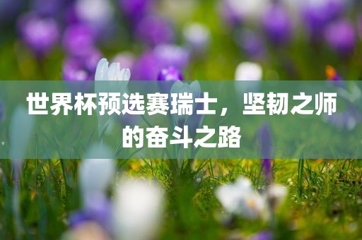 世界杯预选赛瑞士，坚韧之师的奋斗之路