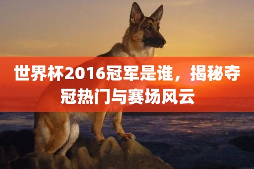 世界杯2016冠军是谁，揭秘夺冠漯河市盈旭机械设备有限公司热门与赛场风云