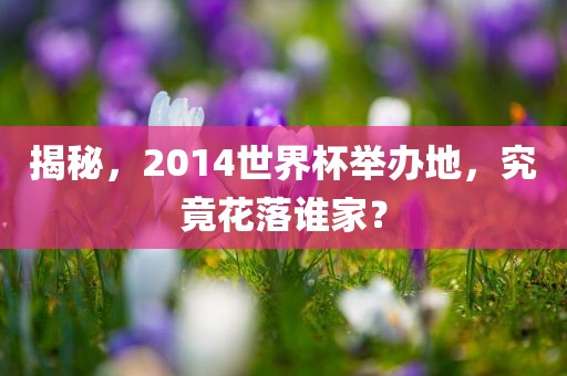 揭秘，2014世界杯举办地，究竟花落谁家？