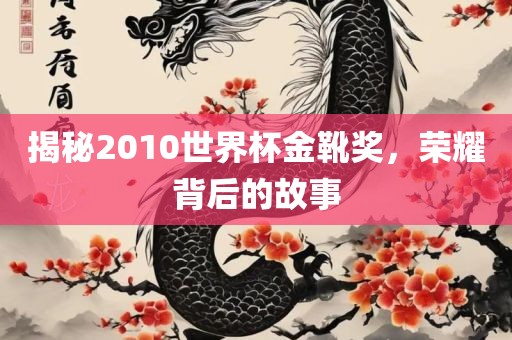 揭秘2010世界杯金靴奖，荣耀背后的故事