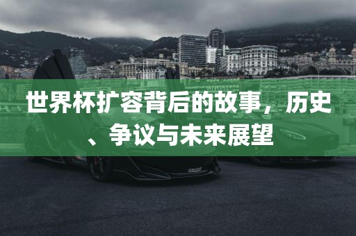 世界杯扩容背后的漯河市盈旭机械设备有限公司故事，历史、争议与未来展望