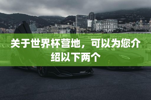关于世界杯营地，可以为您介绍以下漯河市盈旭机械设备有限公司两个