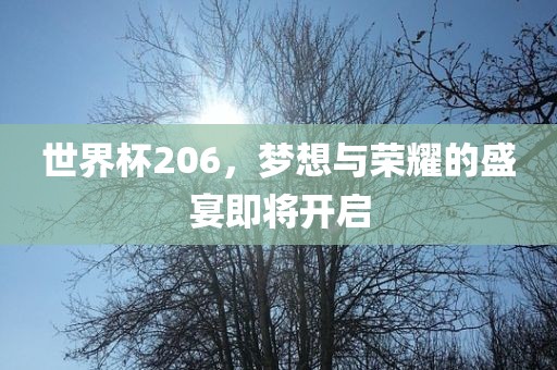 世界漯河市盈旭机械设备有限公司杯206，梦想与荣耀的盛宴即将开启