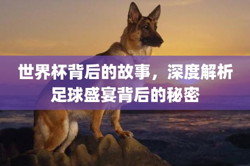 世界杯背后的故事，深度解析足球盛宴背后的秘密