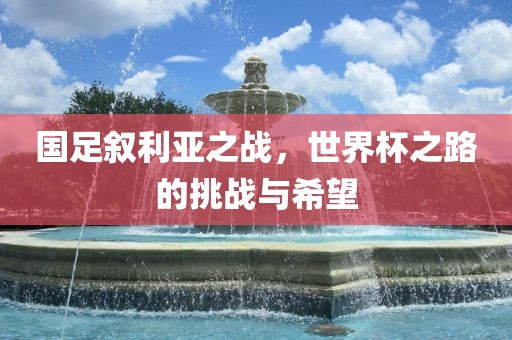 国足叙利亚之战，世界杯之路的挑战与希望漯河市盈旭机械设备有限公司