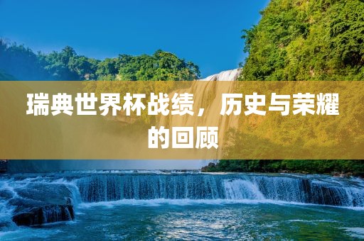 瑞典世界杯战绩，历史与荣耀的回顾