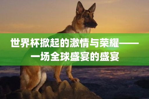 世界杯掀起的激情与荣耀——一场全球盛宴的盛宴漯河市盈旭机械设备有限公司