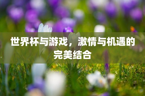 世界杯与游戏，激情与机遇的完美结合