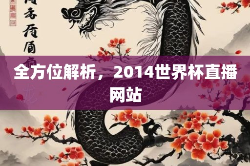 全方位解析，2014世界杯直播网站