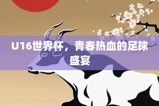 U16世界杯，青春热血的足球盛宴