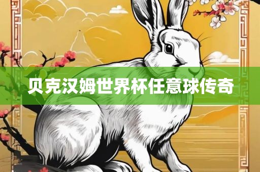 贝克汉姆世界杯任意球传奇漯河市盈旭机械设备有限公司