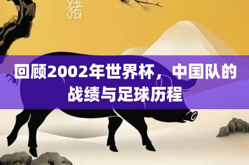回顾2002年世界杯，中国队的战绩与足球历程