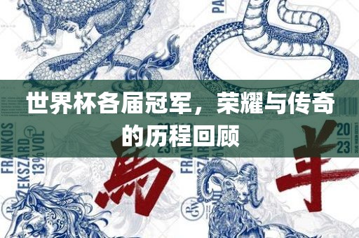 世界杯各届冠军，荣耀与传奇的历程回顾