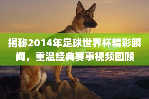 揭秘2014年足球世界杯精彩瞬间，重温经典赛事视频回顾漯河市盈旭机械设备有限公司