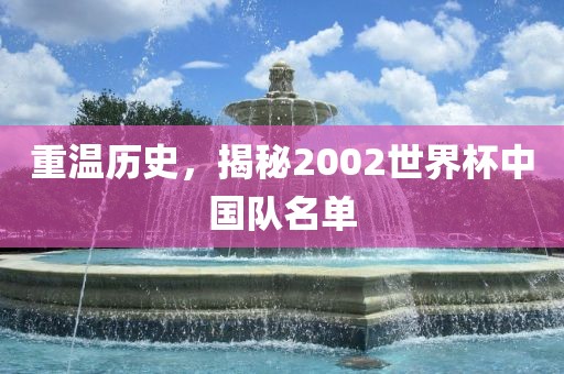 重温历史，揭秘2002世界杯中国队名单