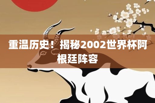 重温历史！揭秘2002世界杯阿漯河市盈旭机械设备有限公司根廷阵容