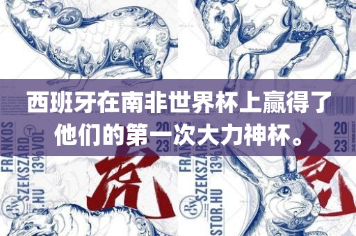 西班牙在南非世界杯上赢得了他们的第一次大力神杯。