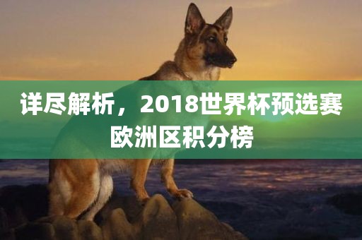 详尽解析，2018世界杯预选赛欧洲区积分榜漯河市盈旭机械设备有限公司
