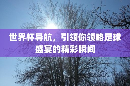世界杯导航，引领你领略足球盛宴的精彩瞬间