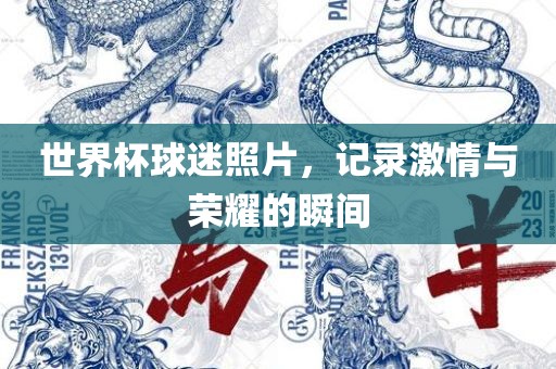 世界杯球迷照片，记录激情与荣耀的瞬间