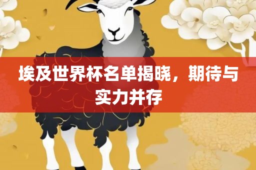 埃及世界杯名单揭晓，期待与实力并存