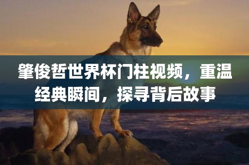 肇俊哲世界杯门柱视频，重温经典瞬间，探寻背后故事