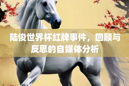 陆俊世界杯红牌事件，回顾与反思的自媒体分析