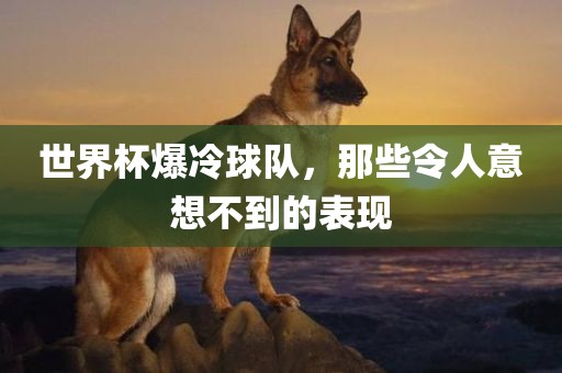 世界杯爆冷球队，那些令人意想不到的表现漯河市盈旭机械设备有限公司