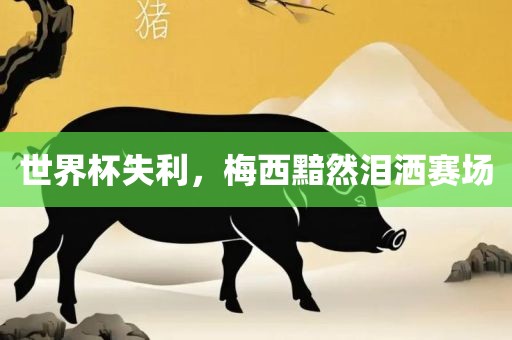 世界杯失利，梅西黯然泪洒赛场