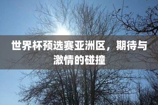 世界杯预选赛亚洲区，期待与激情的碰撞