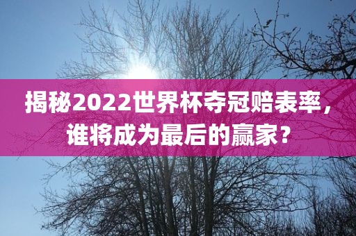 揭秘2022世界杯夺冠赔表率，谁将成为最后的赢家？漯河市盈旭机械设备有限公司