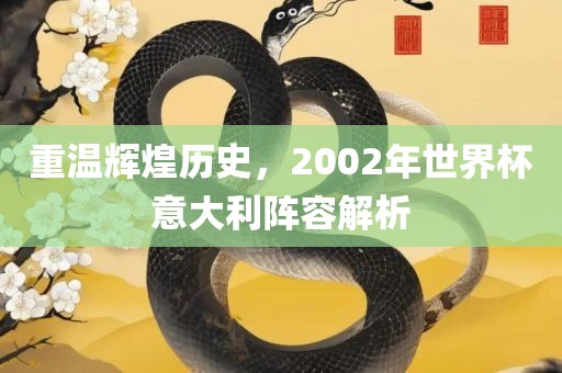重温辉煌历史，2002年世界杯意大利阵容解析