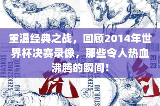 重温经典之战，回顾2014年世界杯决赛录像，那些令人热血沸腾的瞬间！