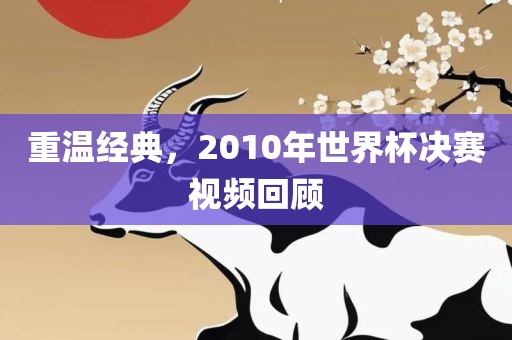 重温经典，2010年世界杯决赛视频回顾