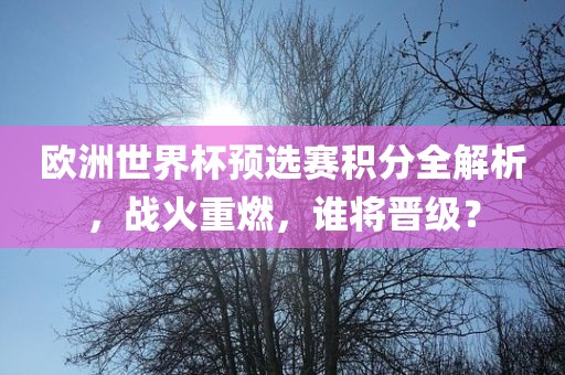 欧洲世界杯预选赛积分全解析，战火重燃，谁将晋级？