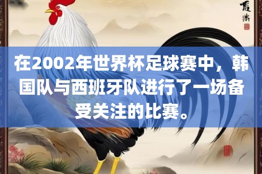 在2002年世界杯足球赛中，韩国队与西班牙队进行了一场备受关注的比赛。