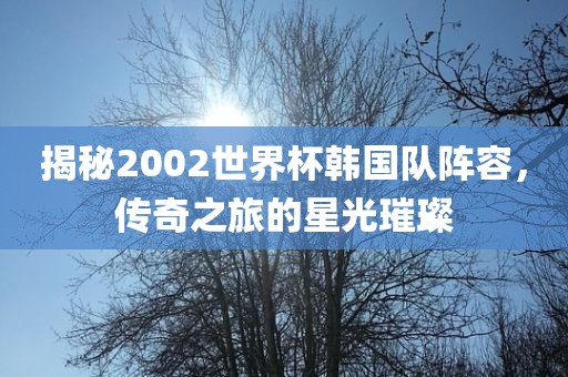 揭秘2002世界杯韩国队阵容，传奇之旅的星光璀璨漯河市盈旭机械设备有限公司