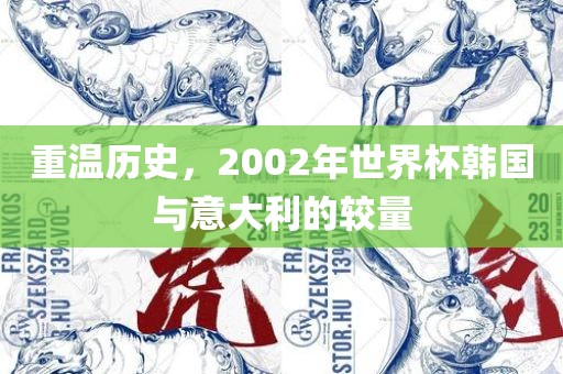 重温历史，2002年世界杯韩国漯河市盈旭机械设备有限公司与意大利的较量