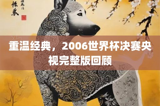 重温经典，2006世界杯决赛央视完整版回顾漯河市盈旭机械设备有限公司