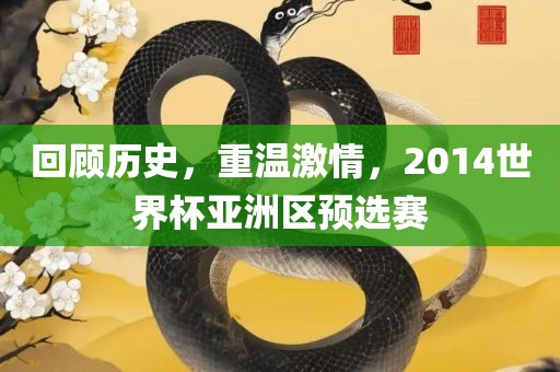 回顾历史，重温激情，2014世界杯亚洲区预选赛