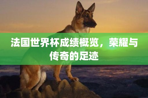法国世界杯成绩概览，荣耀与传奇的足迹