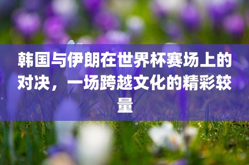 韩国与伊朗在世界杯赛场上的对决，一场跨越文化的精彩较量