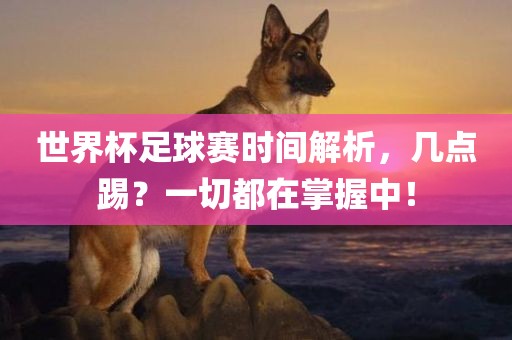 世界杯足球赛时间解析，漯河市盈旭机械设备有限公司几点踢？一切都在掌握中！