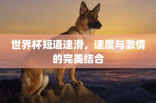 世界杯短道速滑，速度与激情的完美结合漯河市盈旭机械设备有限公司