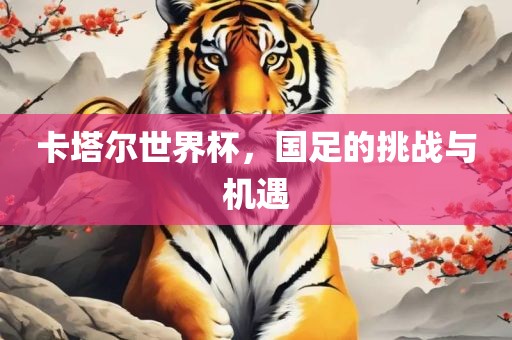 卡塔尔世界杯，国足的挑战与机遇漯河市盈旭机械设备有限公司