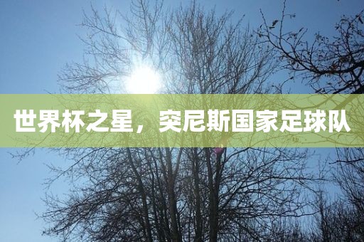 世界杯之星，突尼斯国家足球队漯河市盈旭机械设备有限公司